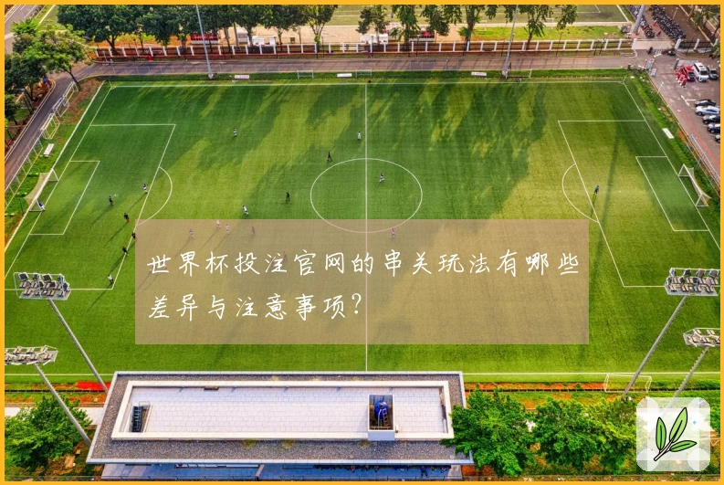 世界杯投注官网的串关玩法有哪些差异与注意事项？
