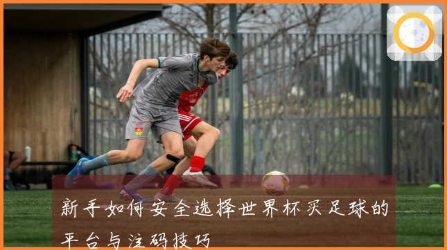 新手如何安全选择世界杯买足球的平台与注码技巧