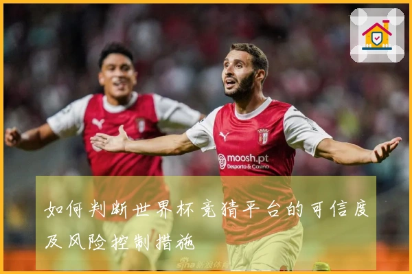如何判断世界杯竞猜平台的可信度及风险控制措施